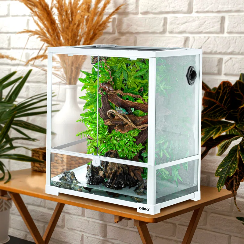 18” x 18” x 24” Reptile Terrarium By OiiBO