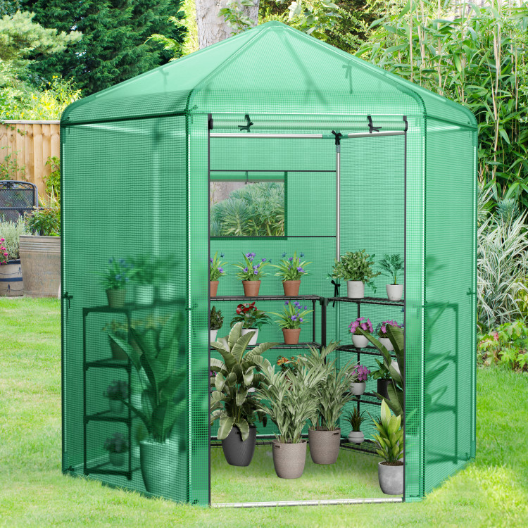 Walk-In Hexagonal Greenhouse with PE Cover and Metal Frame – Deals Galore