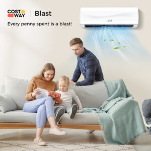 Blast Series 9000 BTU 17 SEER2 208-230V Ductless Mini Split Air Conditioner and Heater