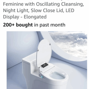 toilet seat and bidet